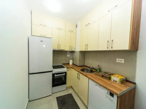 Izdavanje, jednosoban stan, 47m², Stari Aerodrom, Podgorica - image 4