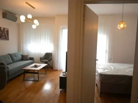 Izdavanje, dvosoban stan, 60m², Zabjelo, Podgorica - image 4