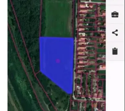 Prodaja, plac, 11500m², Bački Petrovac, Novi Sad - image 8