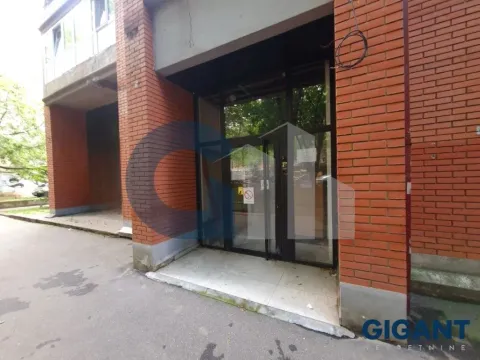 Izdavanje, poslovni prostor, 153m², Lion, Zvezdara Sve Podlokacije - image 2