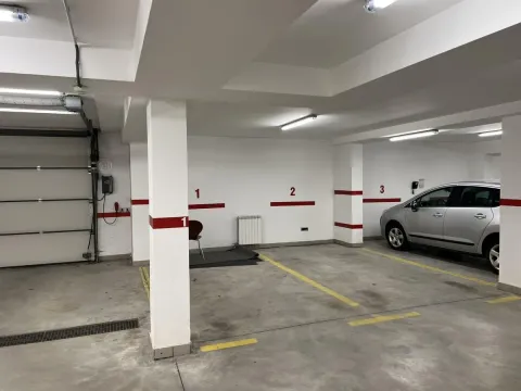 Izdavanje, poslovni prostor, 300m², Zemun Sve Podlokacije, Beograd - image 12