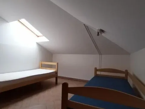 Izdavanje, poslovni prostor, 750m², Telep, Novi Sad Sve Podlokacije - image 19