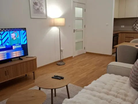 Rent, one bedroom apartment, 47m², Pobrežje, Podgorica - image 5