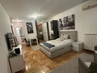 Izdavanje, jednosoban stan, 45m², Novi Beograd Blok 22, Novi Beograd Sve Podlokacije - image 1