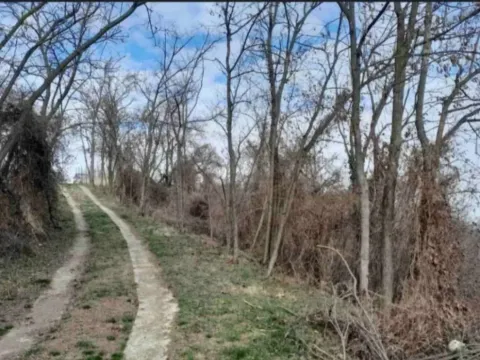 Prodaja, plac, 6400m², Plavinci, Grocka - image 10