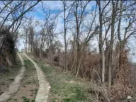 Prodaja, plac, 6400m², Plavinci, Grocka - image 10