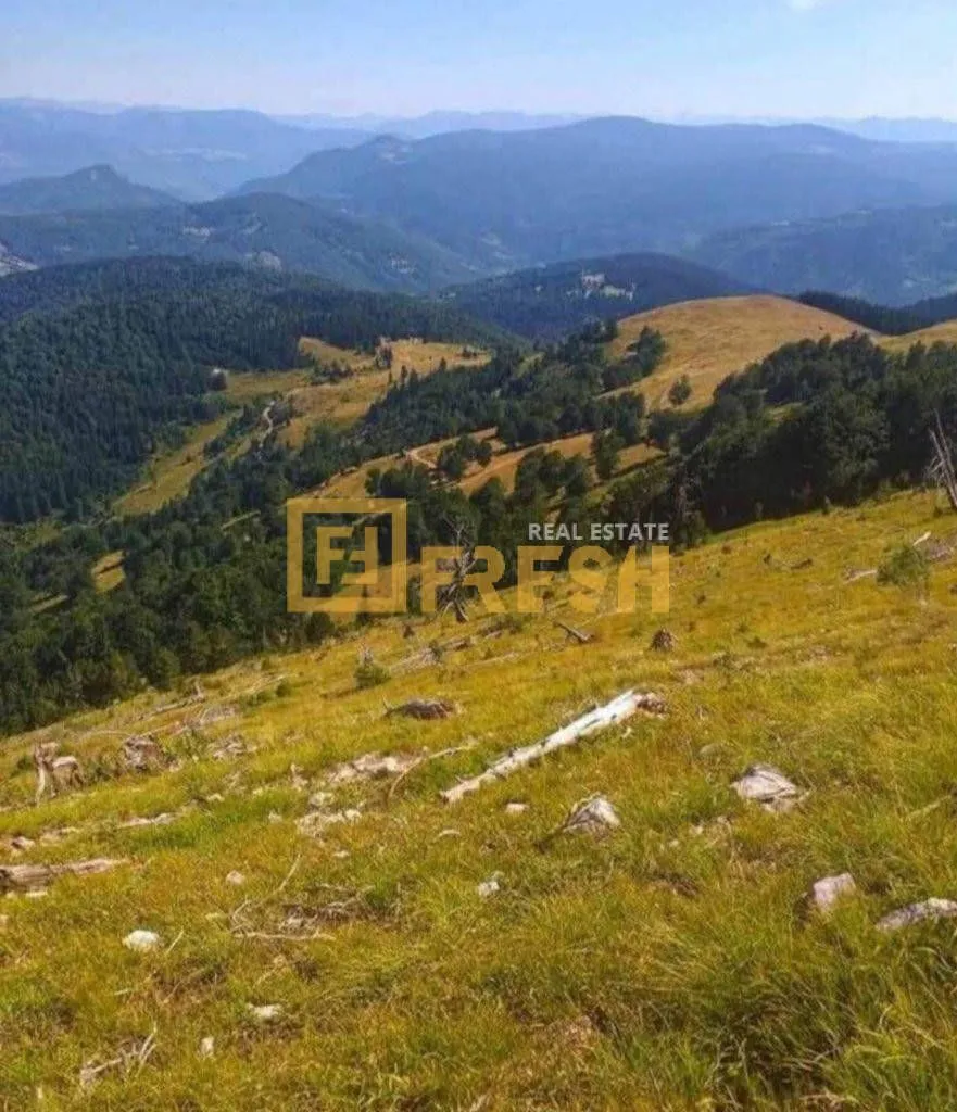 Prodaja, plac, 6000m², Berane, Crna Gora