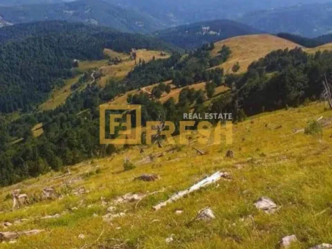 Prodaja, plac, 6000m², Berane, Crna Gora - image 17