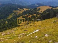Prodaja, plac, 6000m², Berane, Crna Gora - image 17
