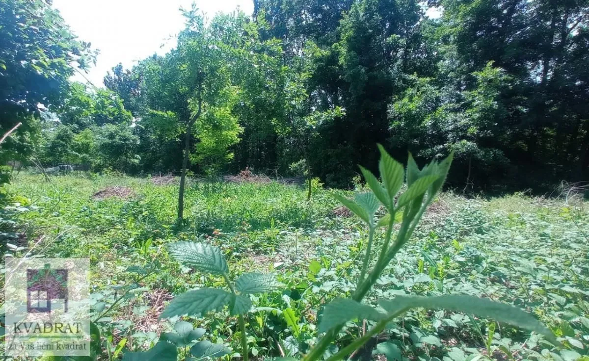 Sale, land lot, 3000m², Konatice, Obrenovac