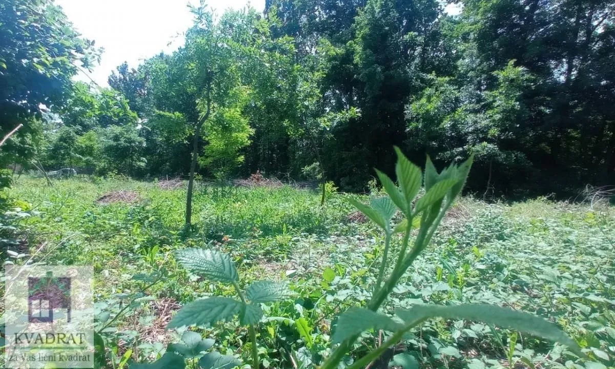 Prodaja, plac, 3000m², Konatice, Obrenovac