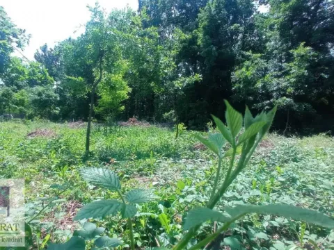 Prodaja,  zemljište, 30m2, Konatice, Obrenovac, Beograd