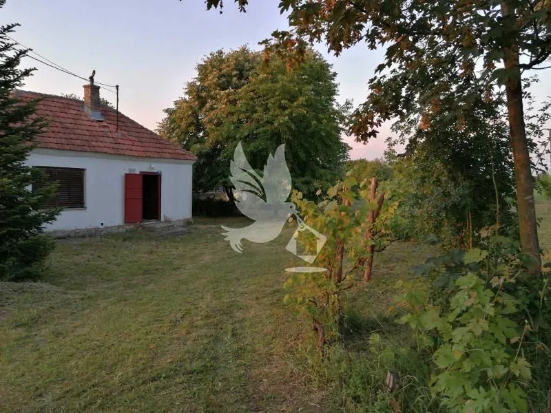 Sale, land lot, Dučina, Sopot