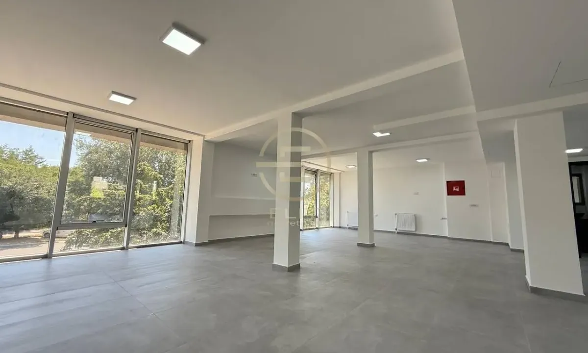 Izdavanje, poslovni prostor, 349m², Bulevar patrijarha Pavla, Novi Sad Sve Podlokacije