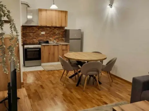 Izdavanje, jednosoban stan, 42m², Zagorič, Podgorica - image 10