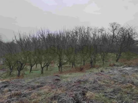 Prodaja, plac, 5100m², Barajevo, Beograd - image 3