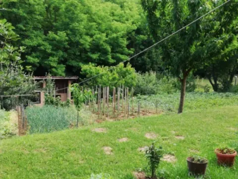 Prodaja, kuća, 350m², Voždovac Sve Podlokacije, Beograd - image 7