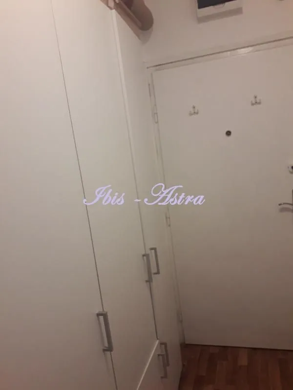 Izdavanje, stan, 23m², Cvijićeva, Palilula Sve Podlokacije