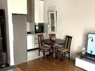 Izdavanje, jednosoban stan, 48m², Zabjelo, Podgorica - image 9