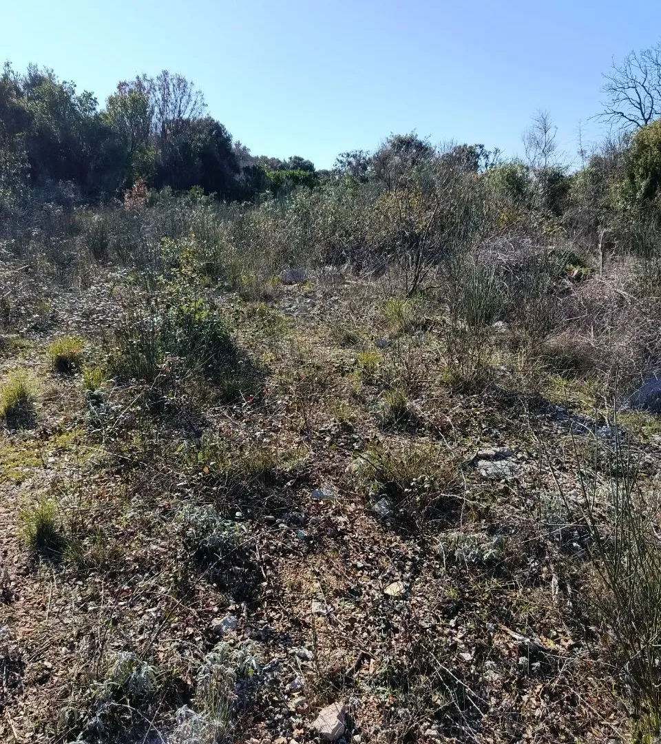 Prodaja, plac, 100076m², Kunje, Bar