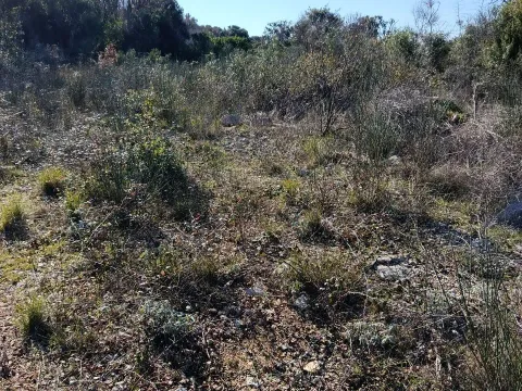 Sale, land lot, 100076m², Kunje, Bar - image 4