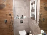Sale, one bedroom apartment, 55m², Banja Vrdnik, Irig - image 9