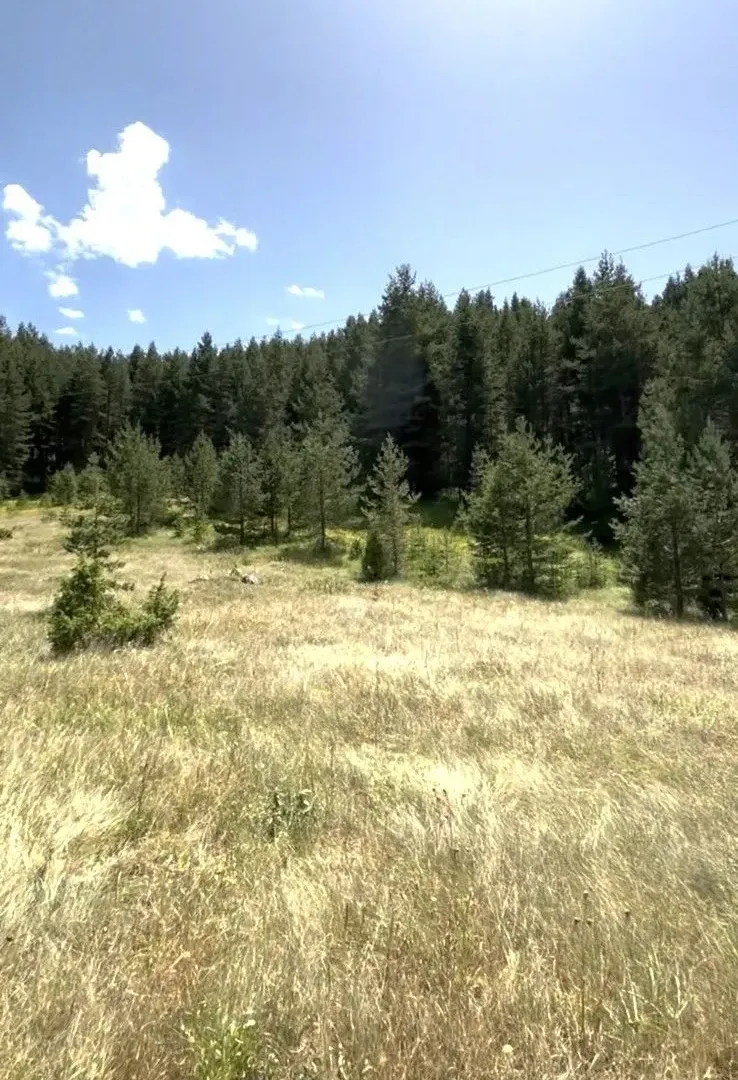 Prodaja, plac, 1724m², Borje, Žabljak