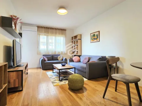 Rent, one bedroom apartment, 49m², Central Point, Podgorica - image 1