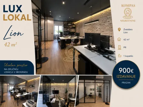 Rent, office space, 42m², Lion, Zvezdara Sve Podlokacije - image 6