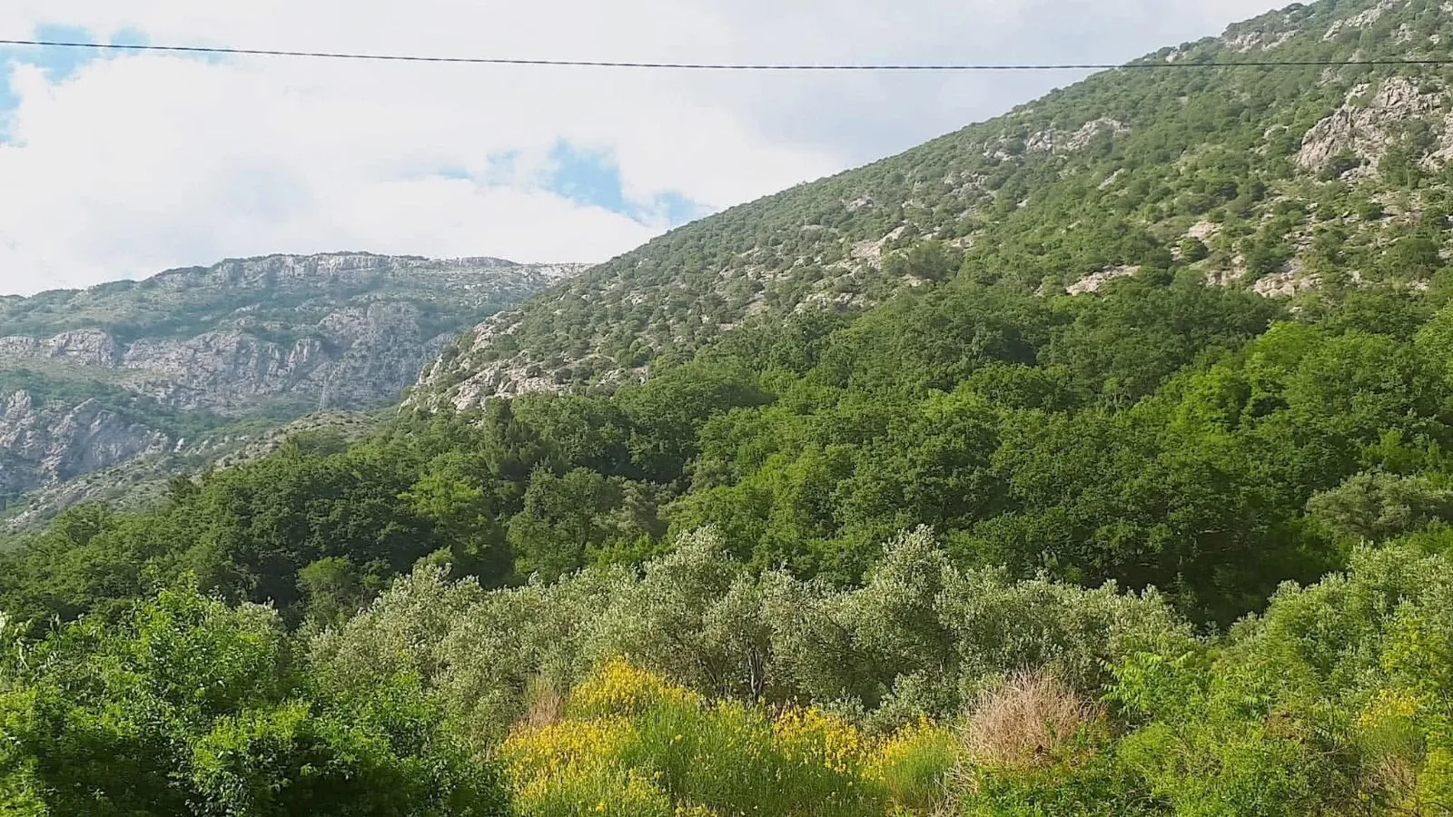 Prodaja, plac, 15804m², Budva, Crna Gora