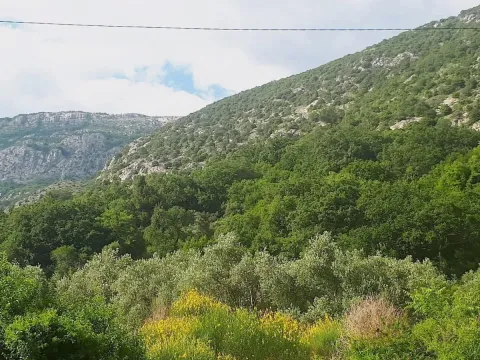 Prodaja, plac, 15804m², Budva, Crna Gora - image 2