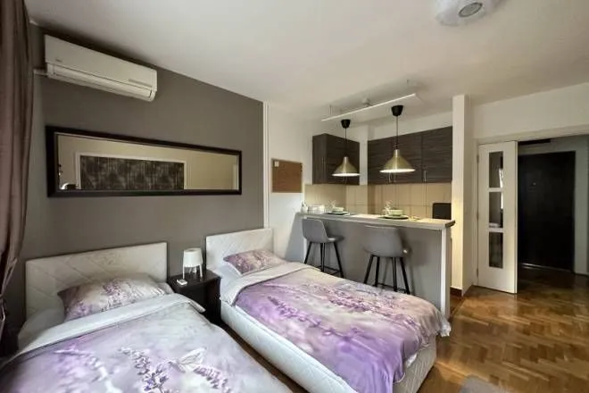 Rent, one bedroom apartment, 25m², Južni Bulevar, Vračar Sve Podlokacije