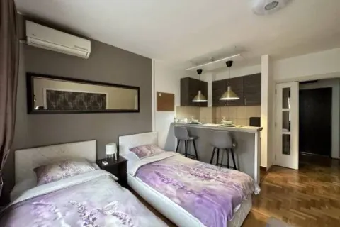 Rent, one bedroom apartment, 25m², Južni Bulevar, Vračar Sve Podlokacije - image 6
