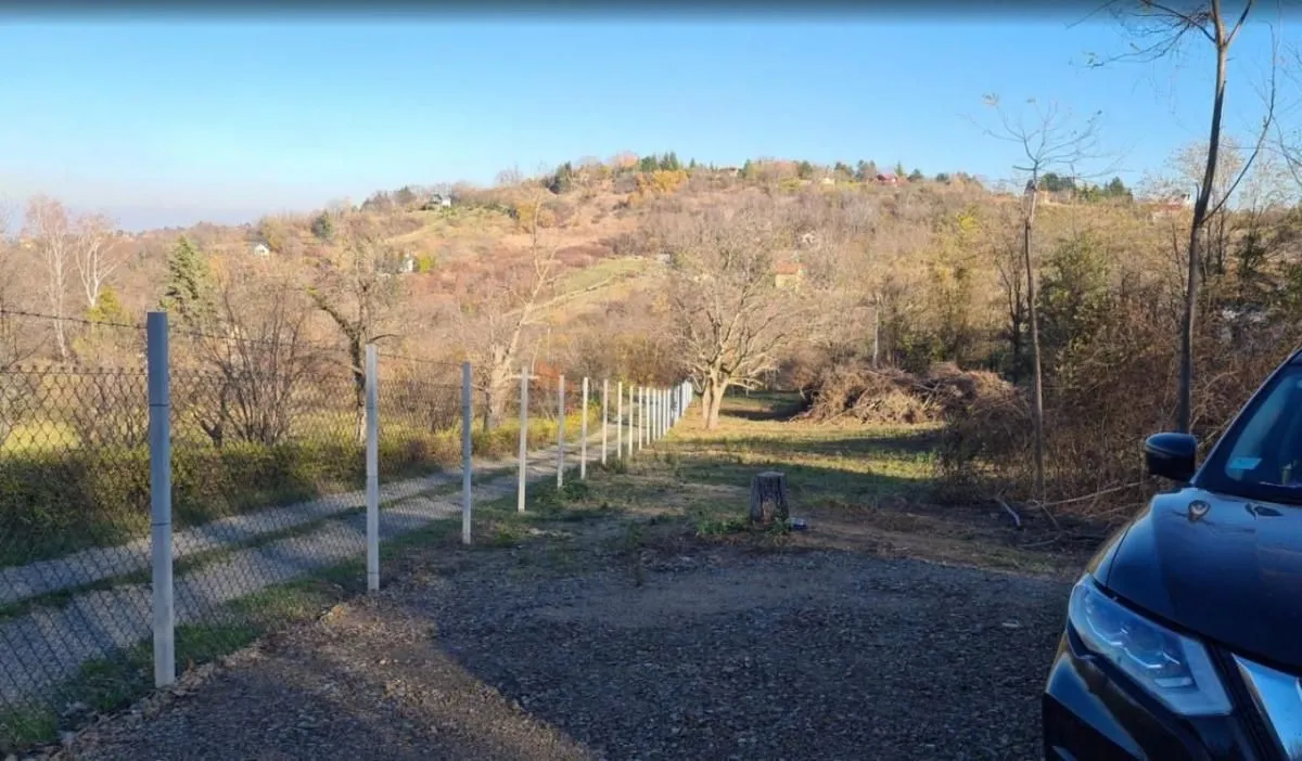 Prodaja, plac, 5000m², Sremska Kamenica, Petrovaradin