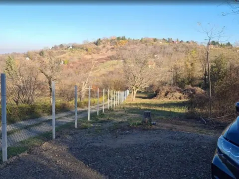 Prodaja, plac, 5000m², Sremska Kamenica, Petrovaradin - image 16