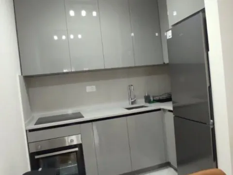 Izdavanje, jednosoban stan, 47m², Central Point, Podgorica - image 12