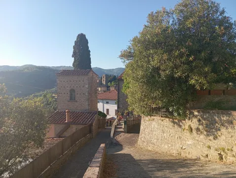 Kuća in Zeta