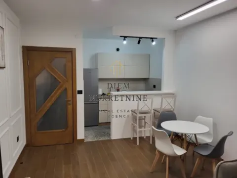 Izdavanje, jednosoban stan, 49m², Stara Varoš, Podgorica - image 3