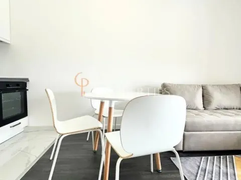 Izdavanje, stan, 27m², Zabjelo, Podgorica - image 10