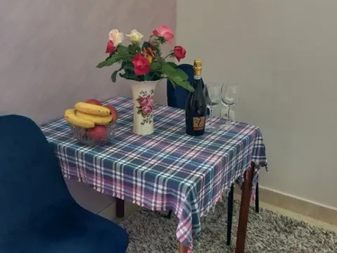 Izdavanje, jednosoban stan, 25m², Igalo, Herceg Novi - image 5