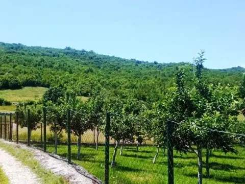 Prodaja, plac, 1500m², Ozrinići, Nikšić - image 11