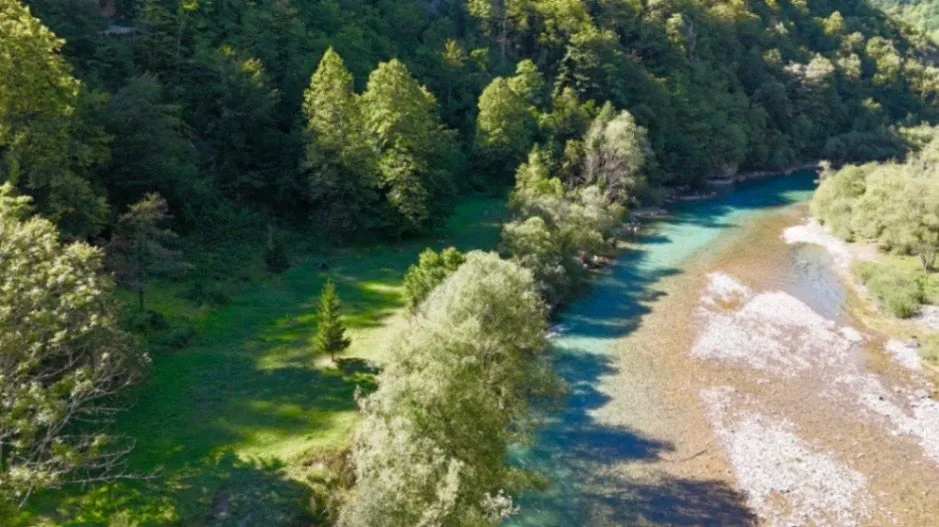 Prodaja, plac, 54000m², Plužine, Crna Gora