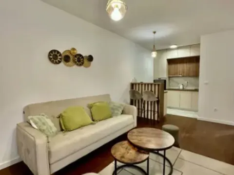 Izdavanje, jednosoban stan, 45m², 1 maj, Podgorica - image 3