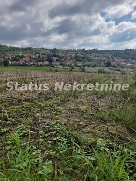 Prodaja, plac, 2386m², Novi Sad, Srbija