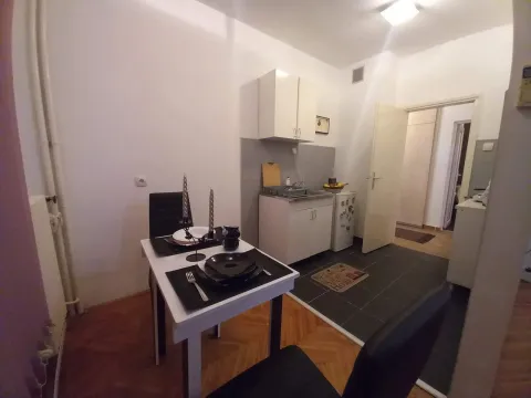 Izdavanje, trosoban stan, 70m², Vračar Centar, Vračar Sve Podlokacije - image 18