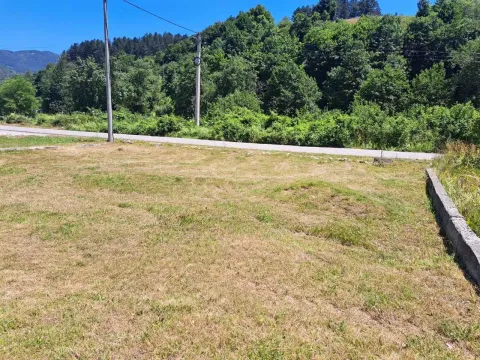 Travnati plac pored puta okružen zelenilom i šumom. - image 2