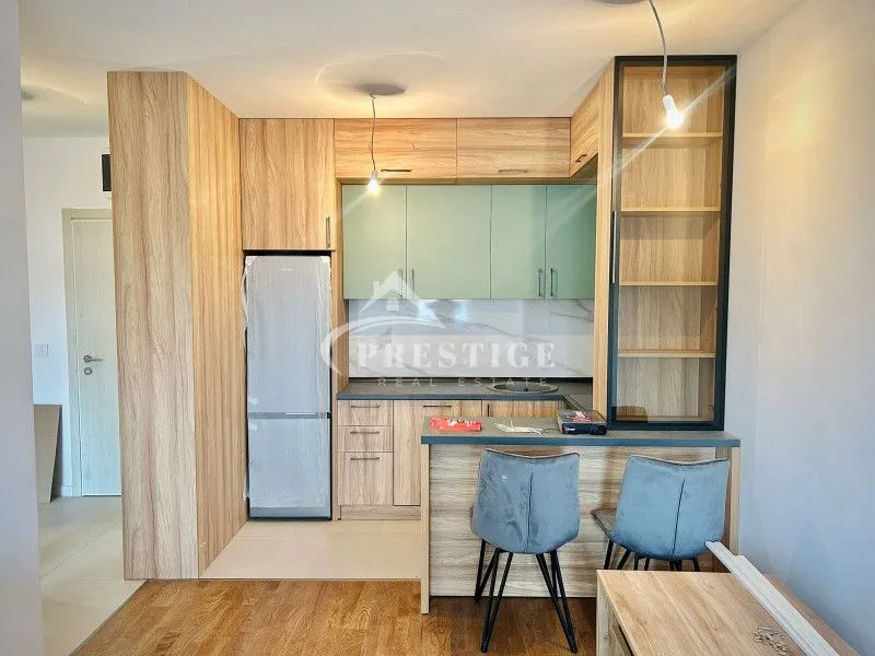 Rent, one bedroom apartment, 46m², Zagorič, Podgorica