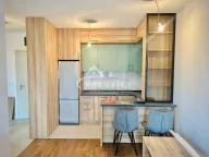 Izdavanje, jednosoban stan, 46m², Zagorič, Podgorica - image 3