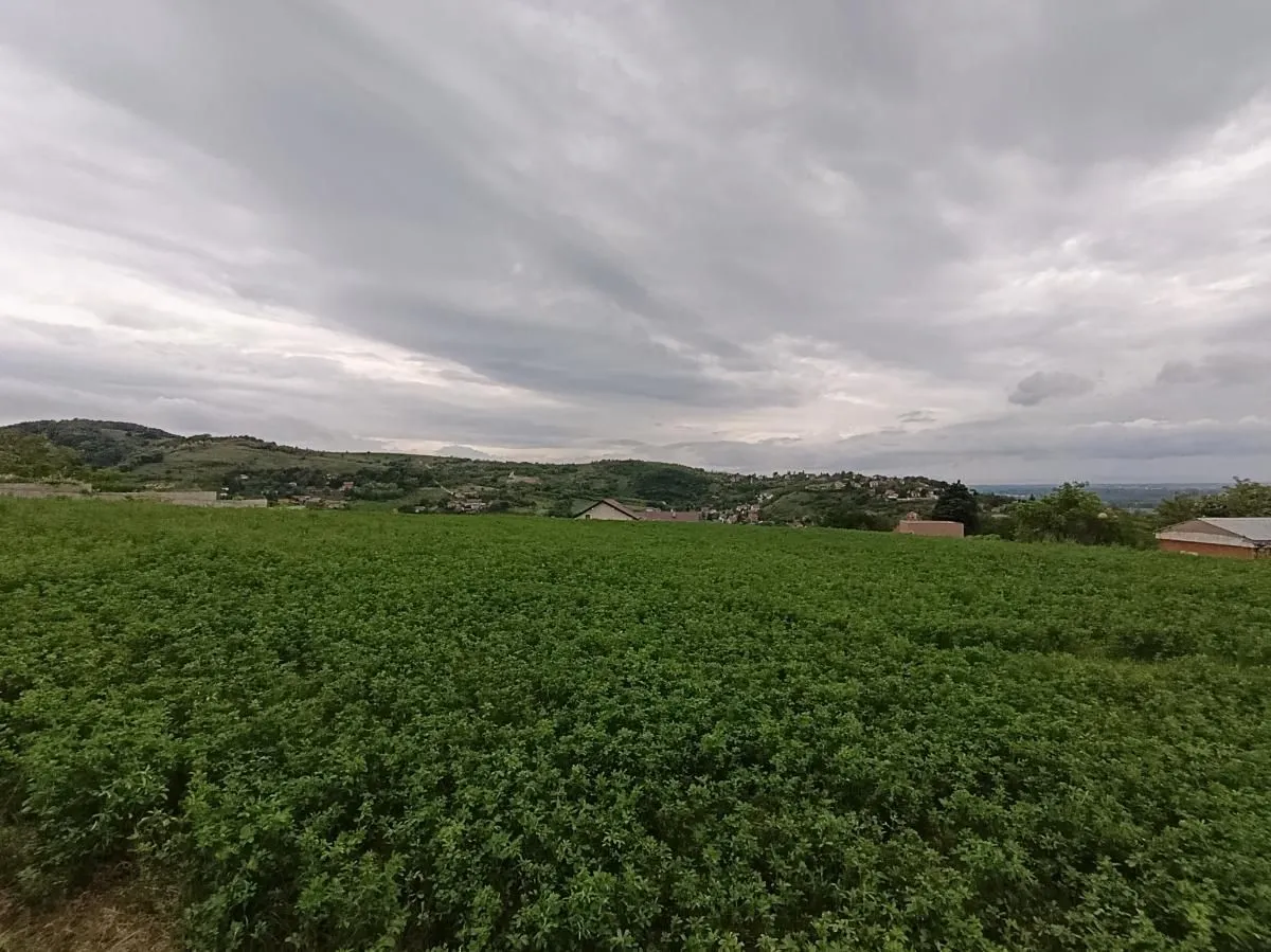 Prodaja, plac, 1100m², Beočin, Srbija