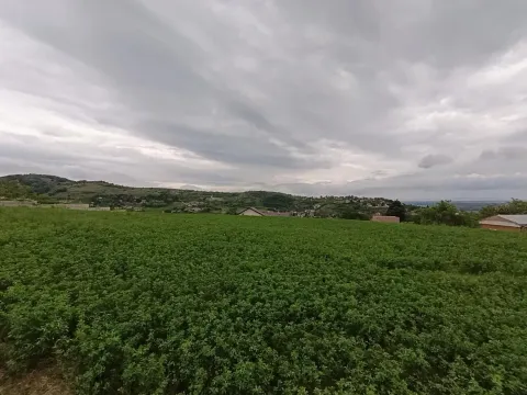 Prodaja, plac, 1100m², Beočin, Srbija - image 22